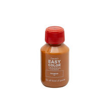 Load image into Gallery viewer, EASY COLOR Universal Colorants