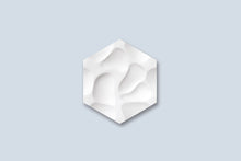 Load image into Gallery viewer, CORAL ARSTYL® DESIGN ELEMENTS
